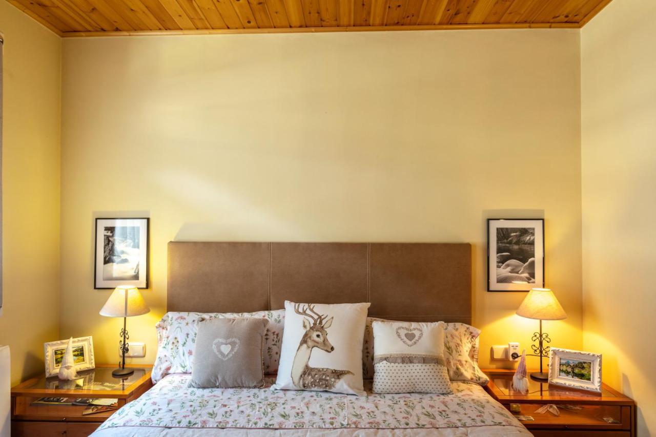 Apartamento En Vielha Dış mekan fotoğraf