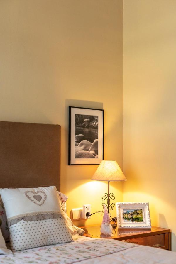 Apartamento En Vielha Dış mekan fotoğraf